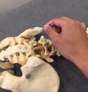 画像の説明 画像の説明