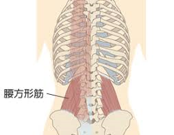 画像の説明 画像の説明